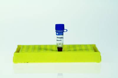 loading buffer_百度百科