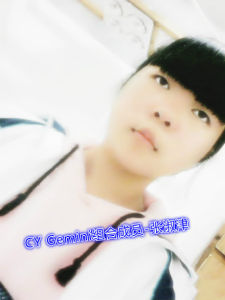 cy-gemini组合