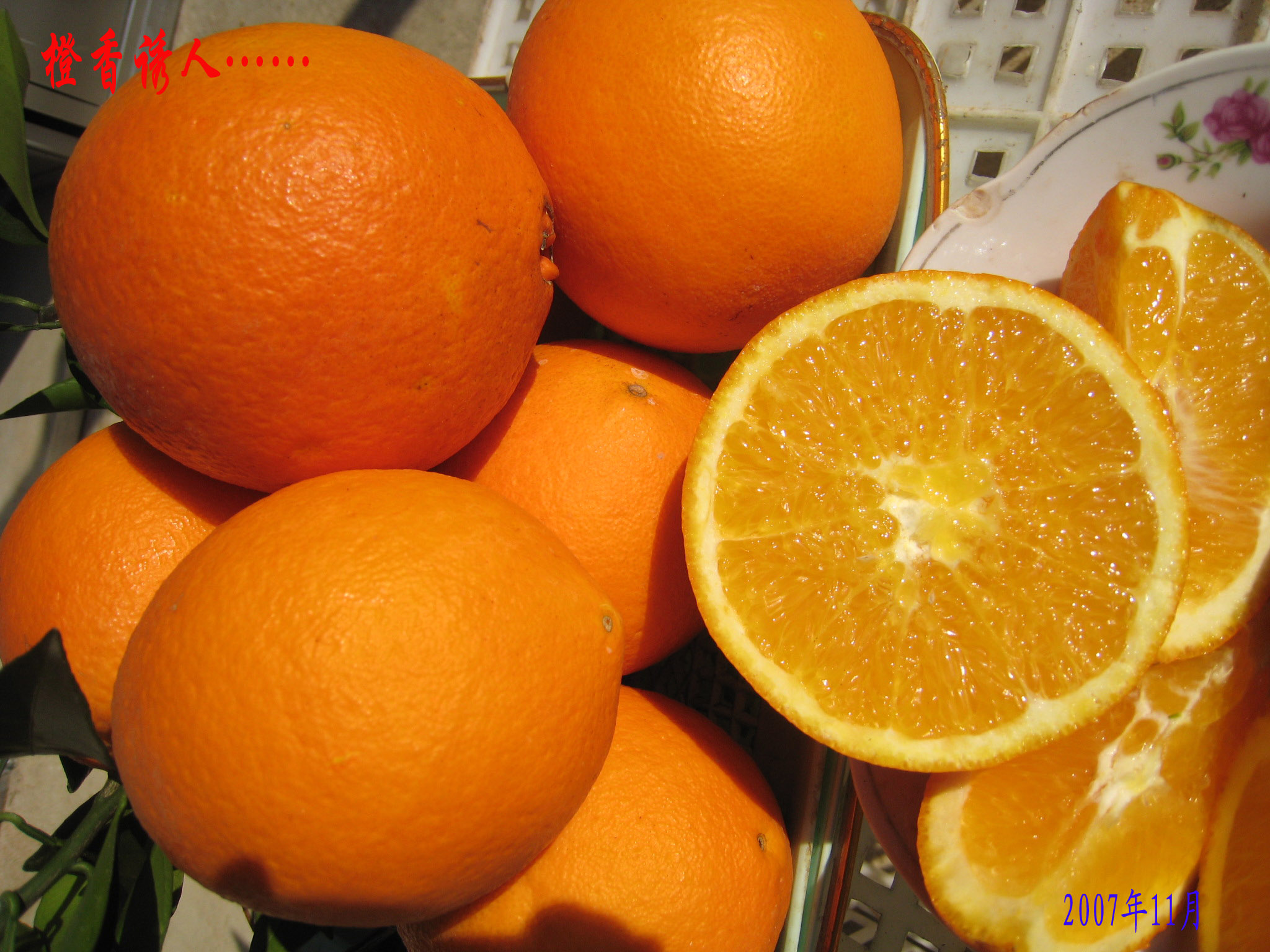 静冈县1932年从 a target="_blank" href="/item/华盛顿脐橙/5251242"