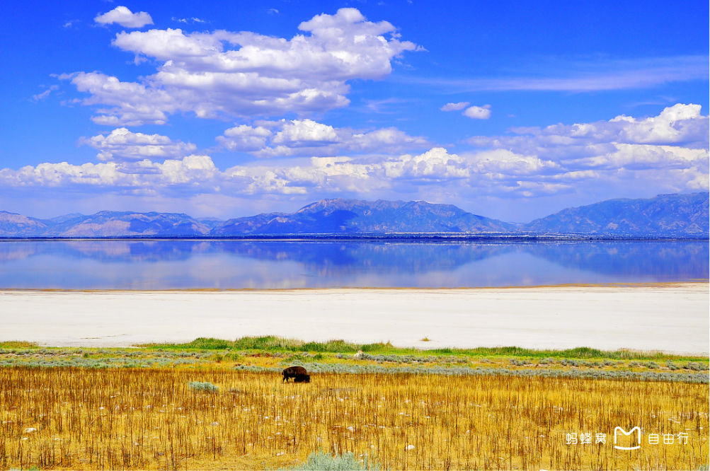 greatsaltlake