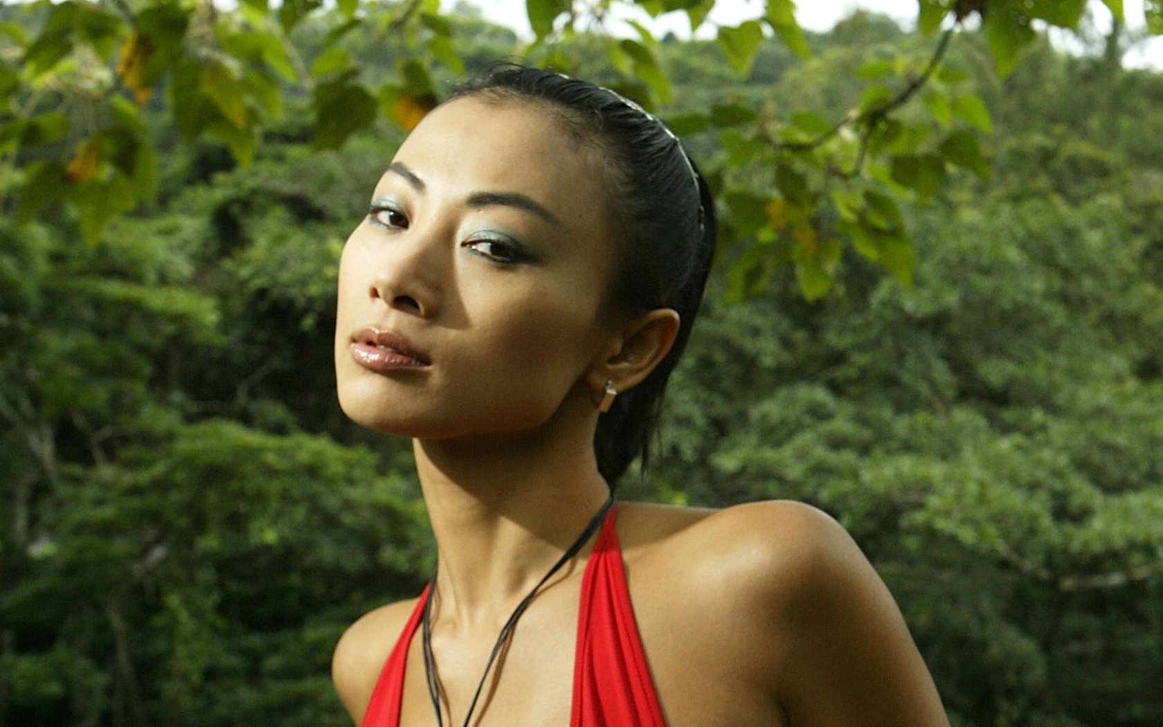  p data-id="gntuxqzuir">白灵,美籍华裔女演员,电影 a target="