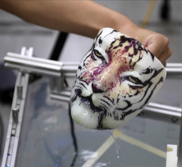  p>水转印技术是超越任何印像技术方式的最新 a target="_blank" href