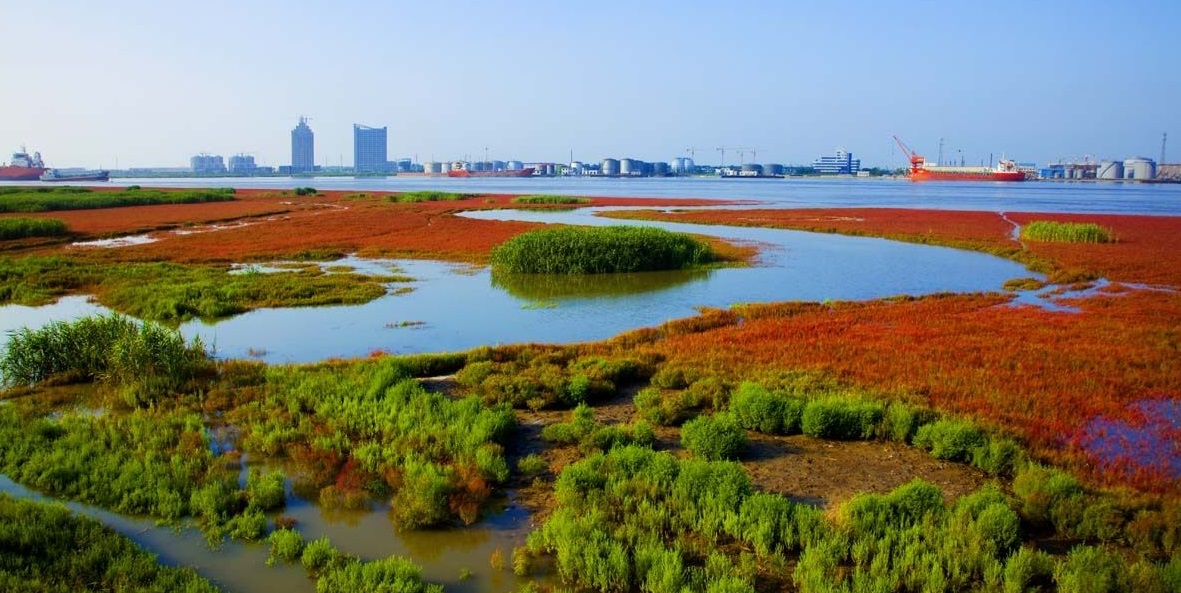 辽宁省双台湾河口国家级自然保护区