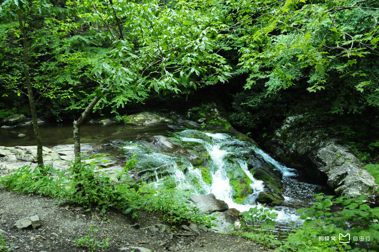 大雾山国家公园