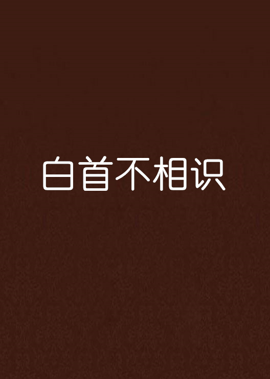 白首不相识