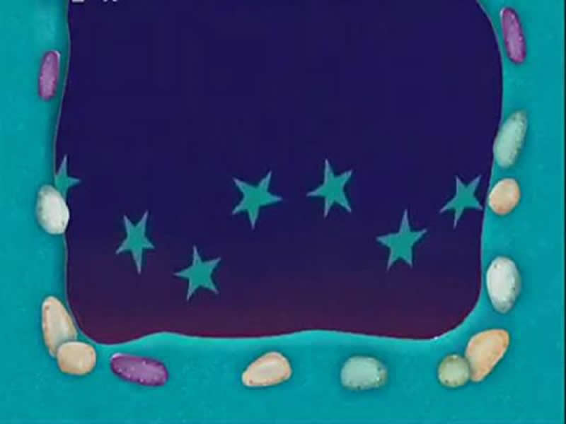 小小智慧树小星星