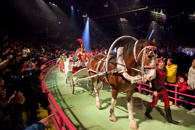 data-lemmaid="178947">长隆旅游度假区 /a>,拥有全球实景式马戏舞台