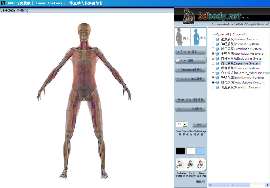 探索人体奥秘:3dbody三维人体解剖软件