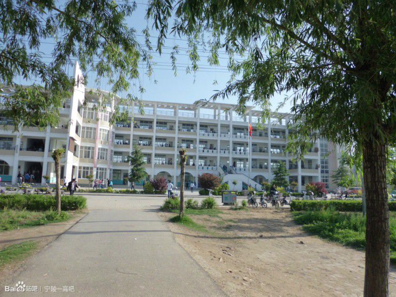 宁陵县高级中学
