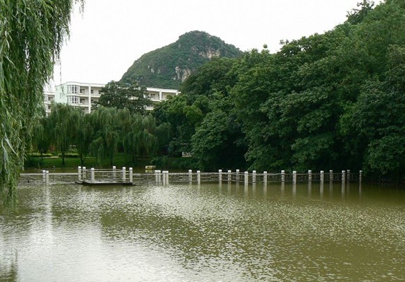  p>广西工学院是经 a href="#">国务院 /a>批准成立,直属广西壮族自治