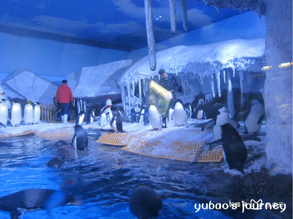 武汉海昌极地海洋世界