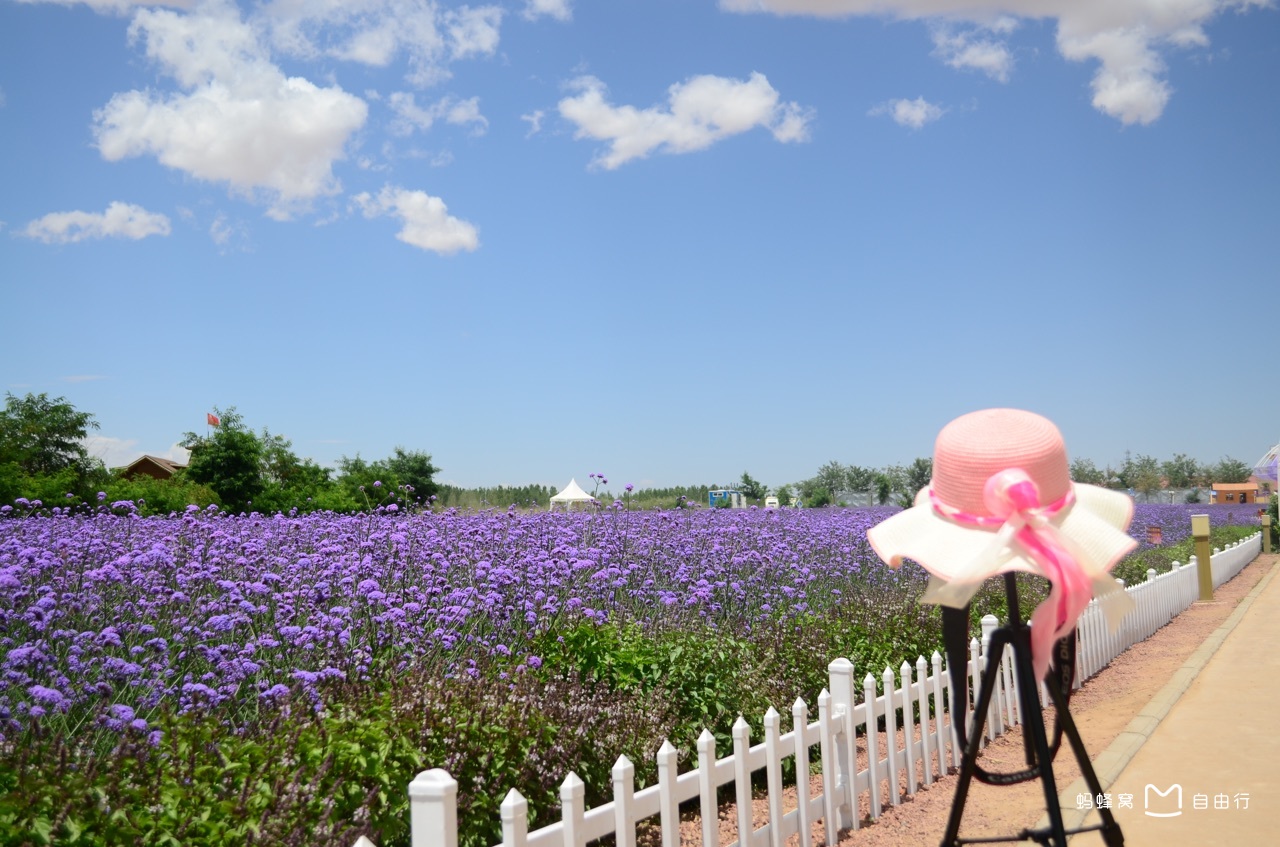 宁夏中卫金沙岛