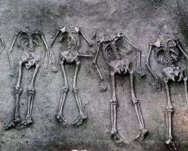  p>人殉人祭就是用人殉葬及杀人祭祀.