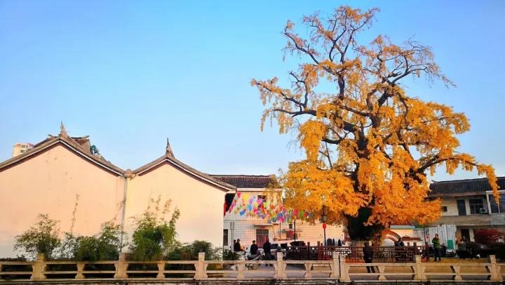  p data-id="gnwtmz0dg2">宜兴市周铁城隍庙,道教邑庙,位于周铁镇老街