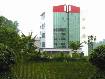  p>洞口三中坐落在文化底蕴深厚的湖南名镇——高沙镇,毗邻武冈,交通