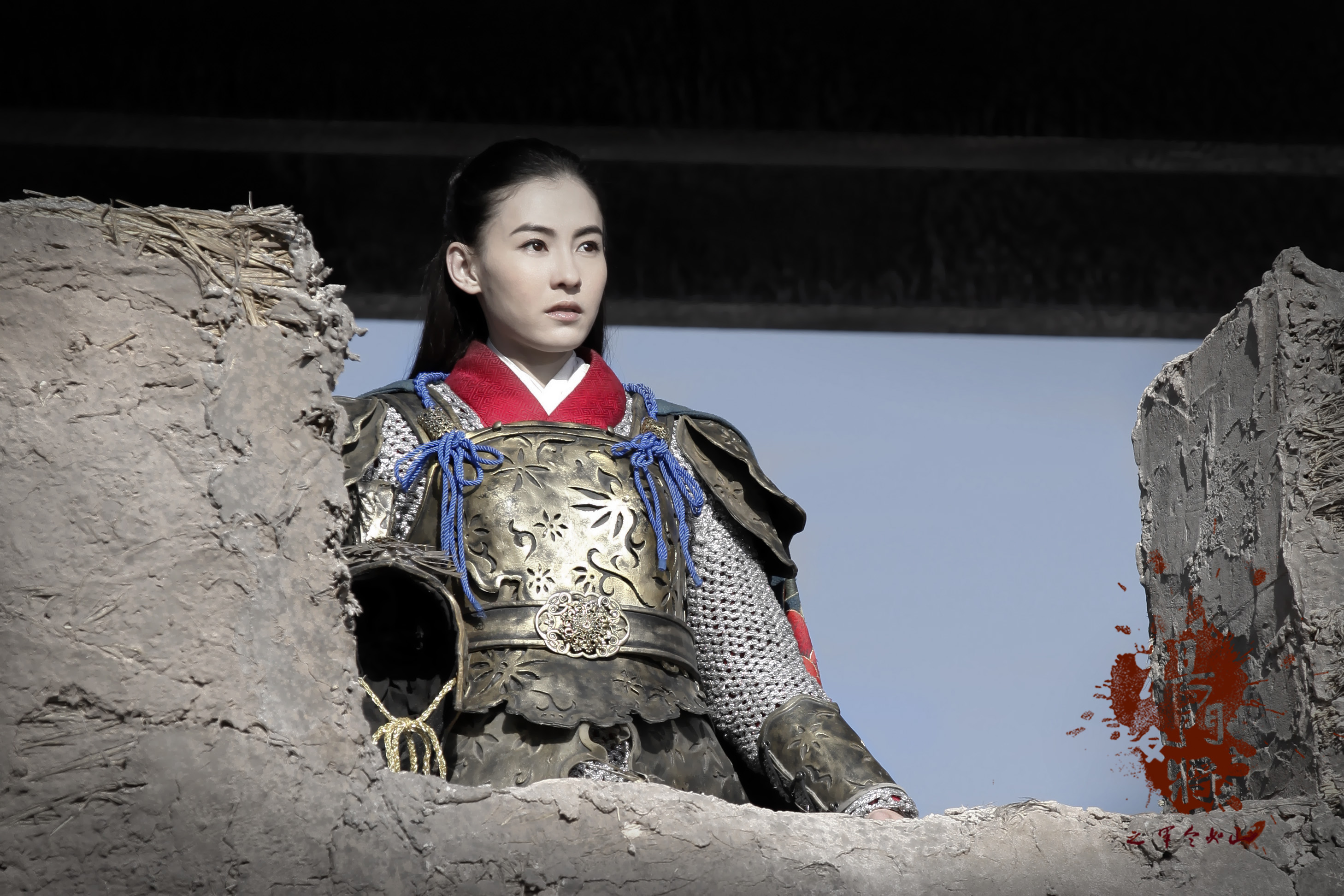 杨门女将军令如山