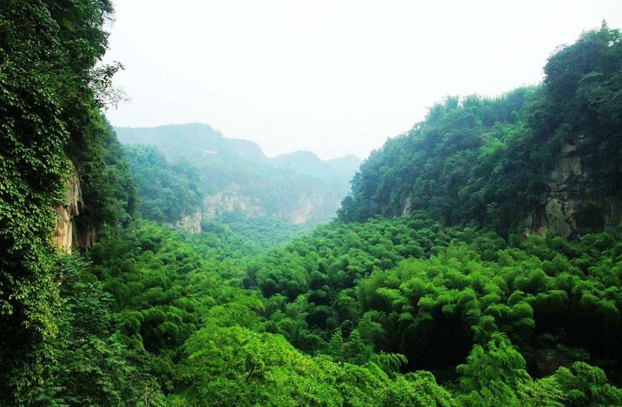 高石梯森林公园