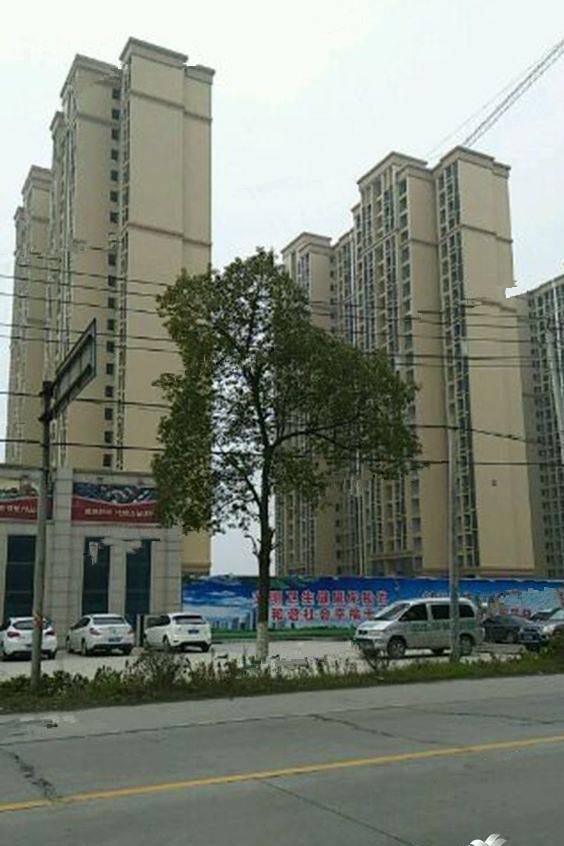 中环·城市花园