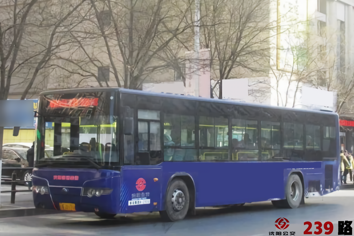 沈阳公交239路