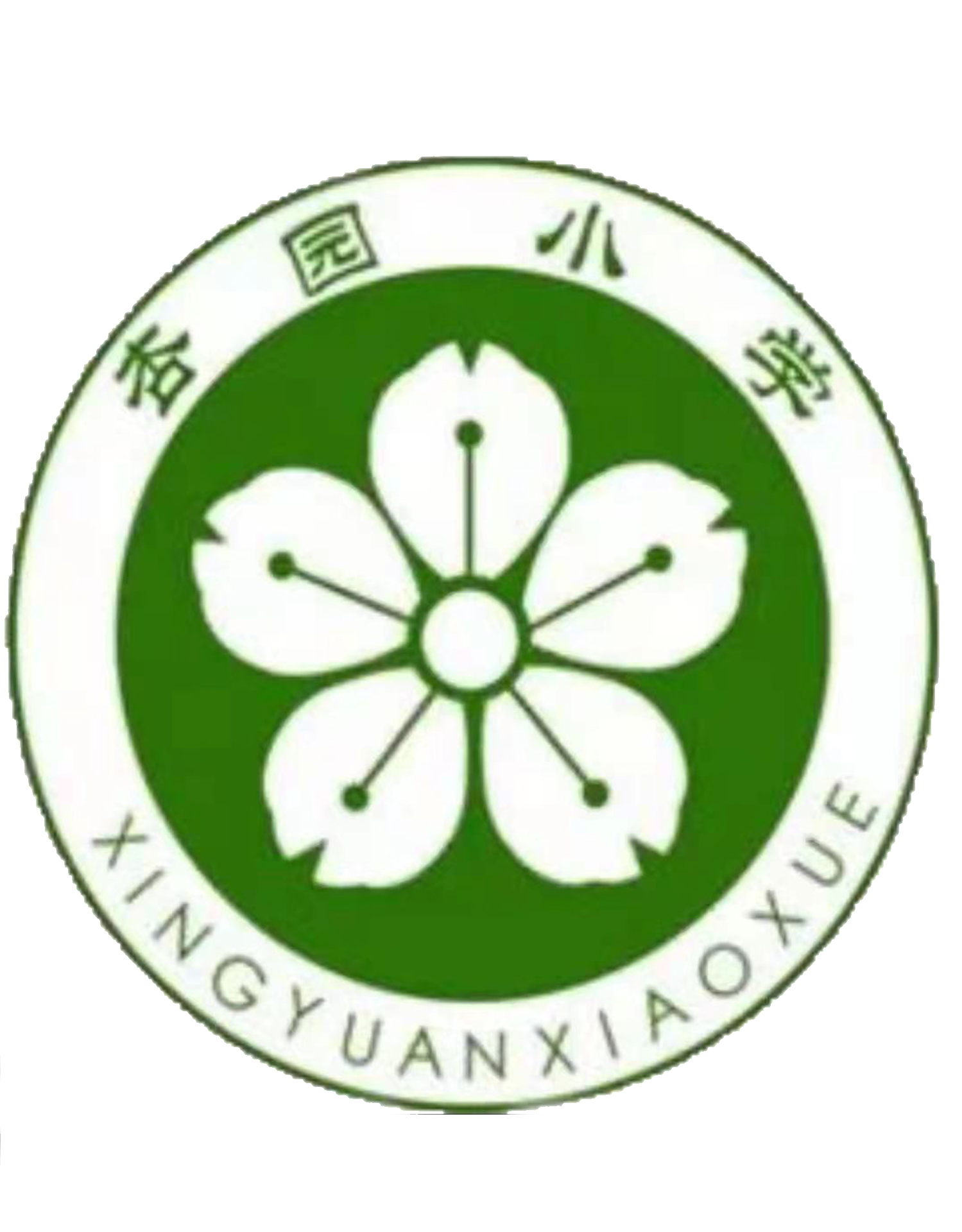 张店区杏园小学