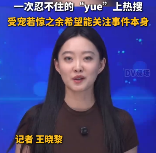 王晓黎（中国记者）_百度百科