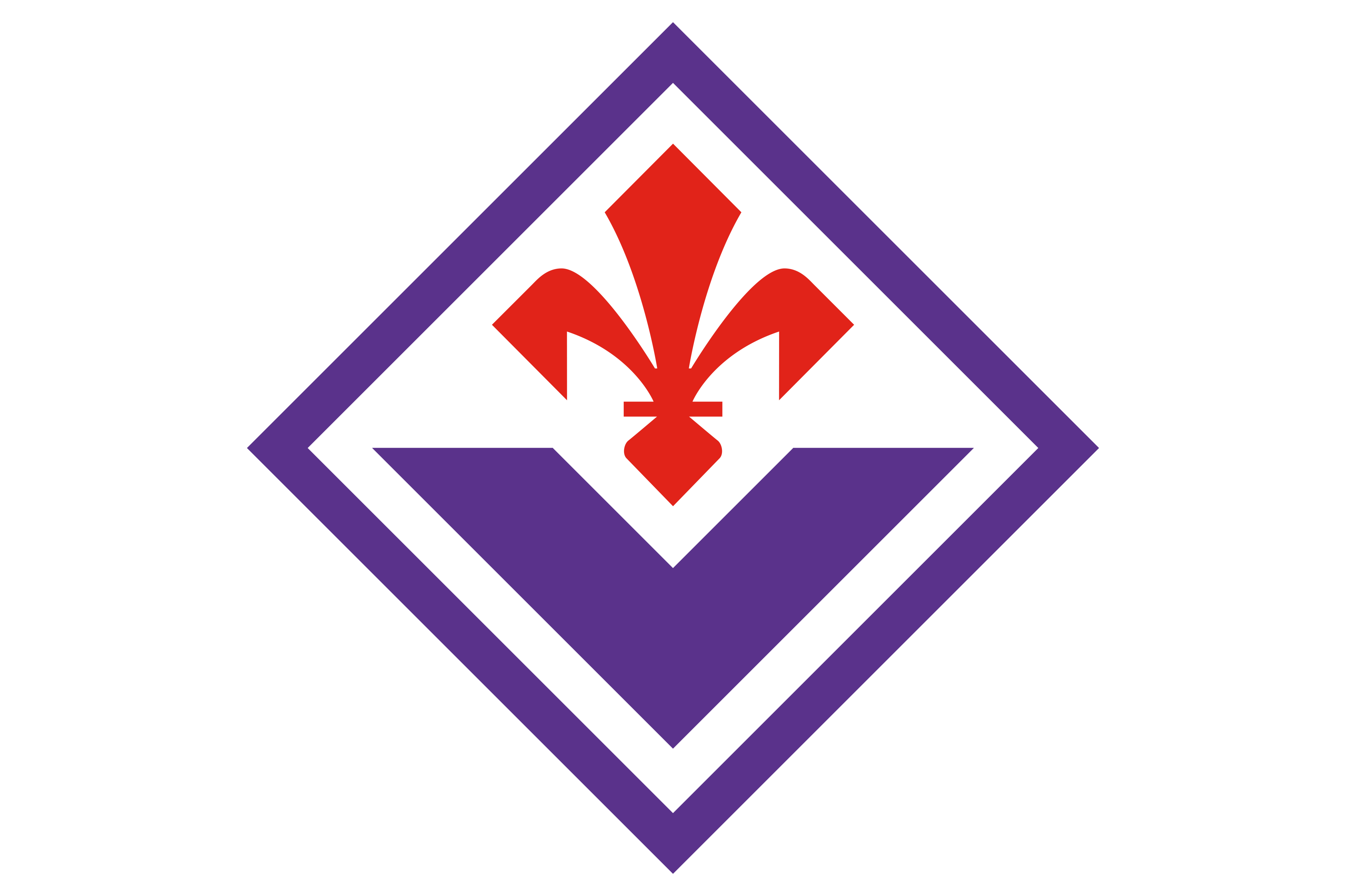 佛罗伦萨足球俱乐部