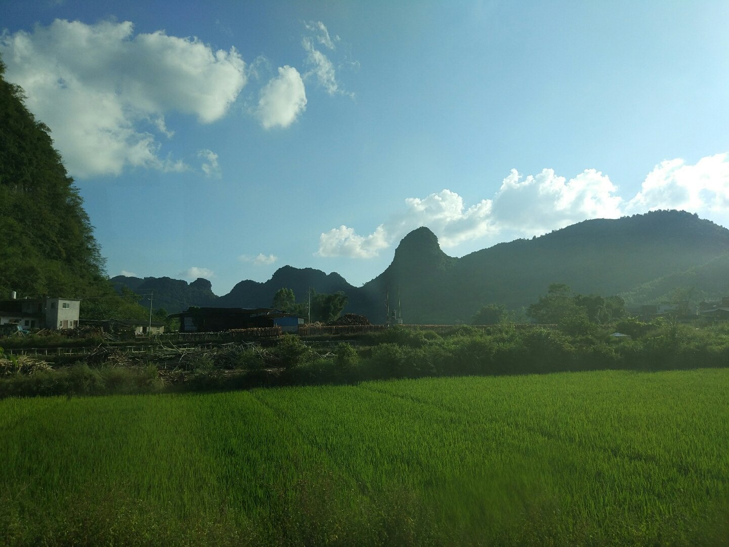 大塘镇,隶属于 a target="_blank" href="/item/广西壮族自治区