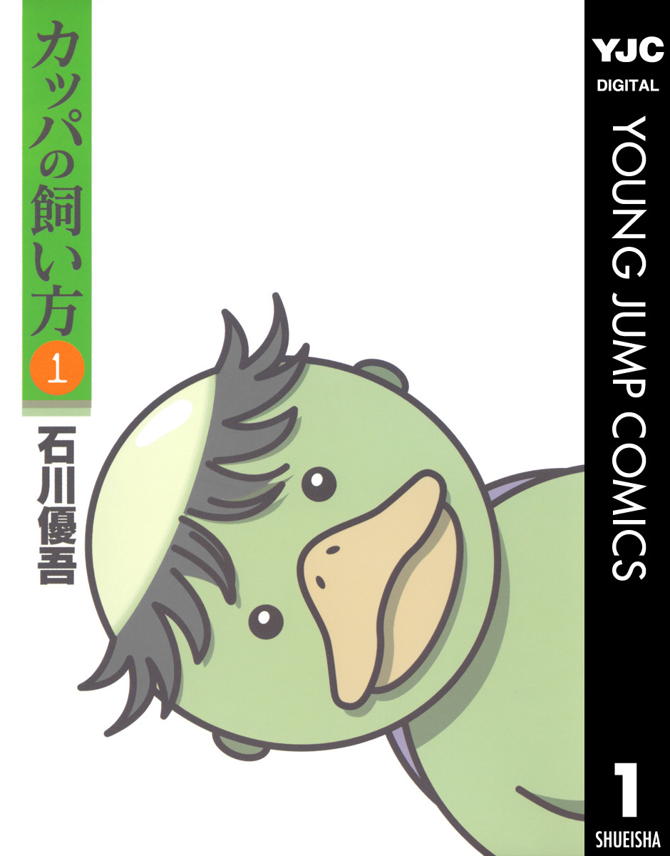  p data-id="gnatul2my5">《河童的饲养方法》是日本漫画家 a target=