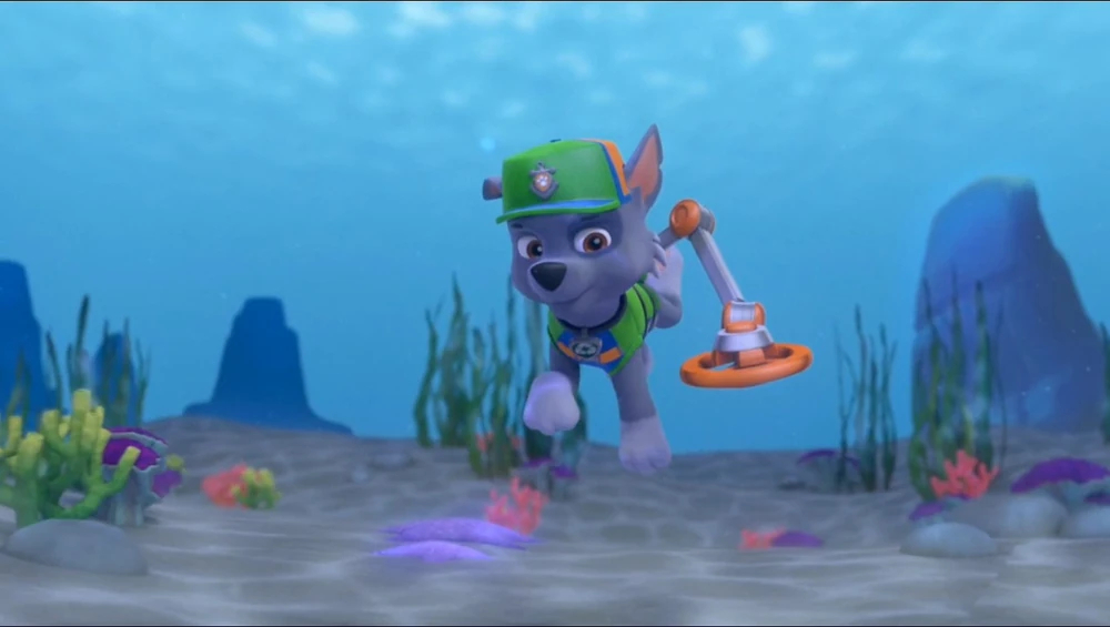  p data-id="go07h6x130">灰灰(rocky)是一只雄性混血狗狗.