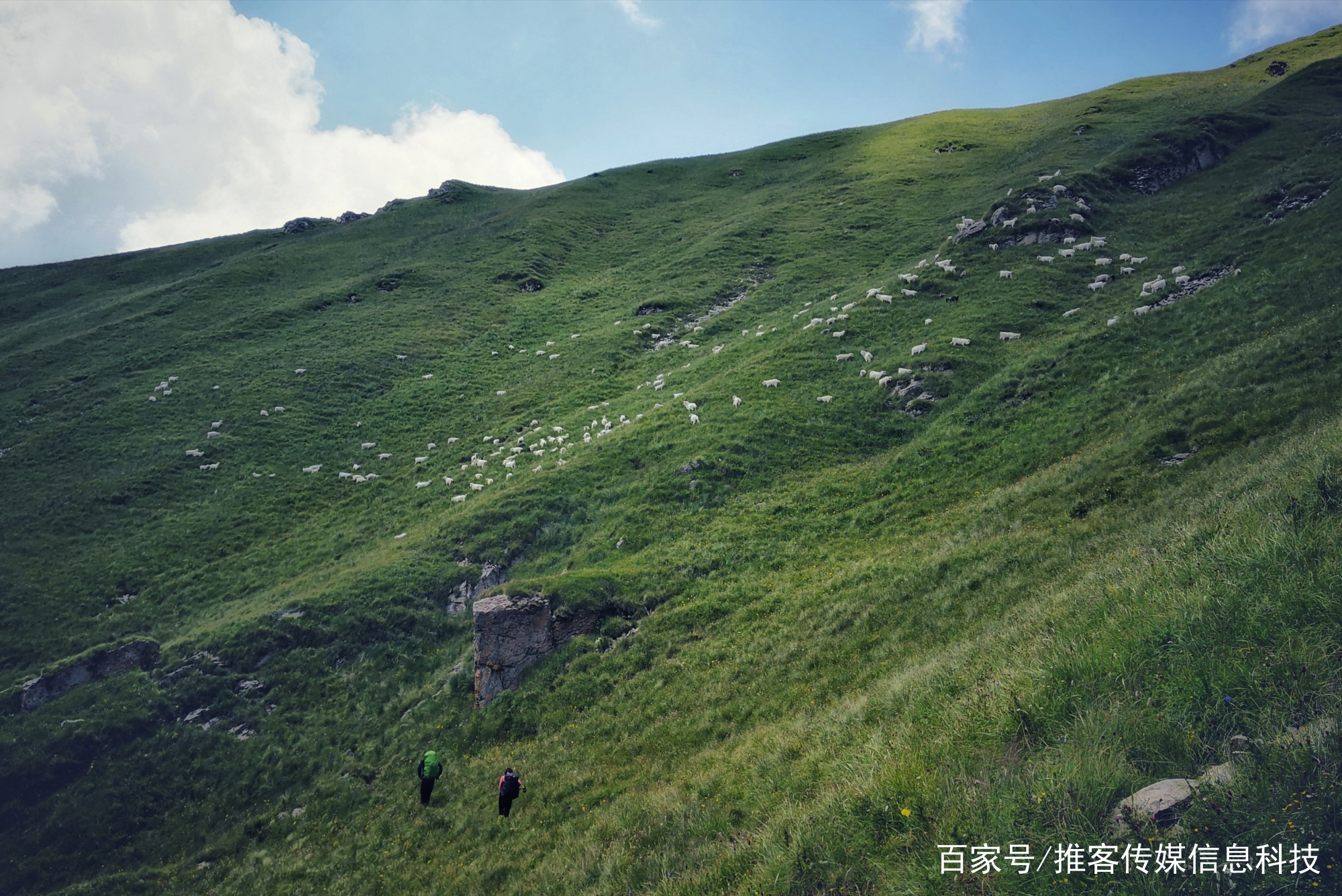 金莲花盛开的那个地方 游小五台 百科ta说