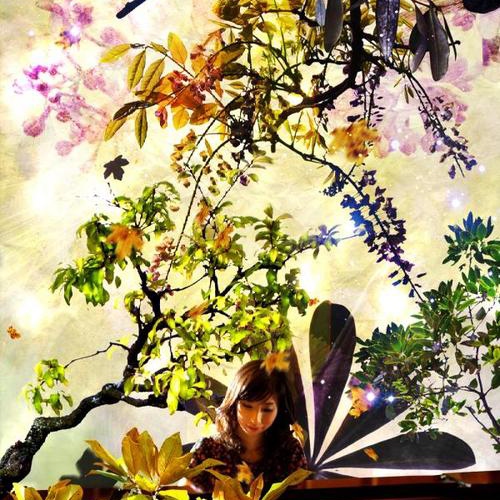 anan ryoko,阿南亮子,日本女钢琴家兼作曲家