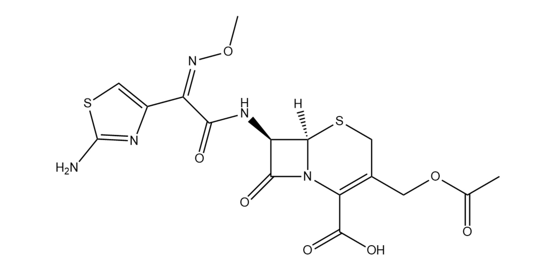 氨噻肟头孢菌素