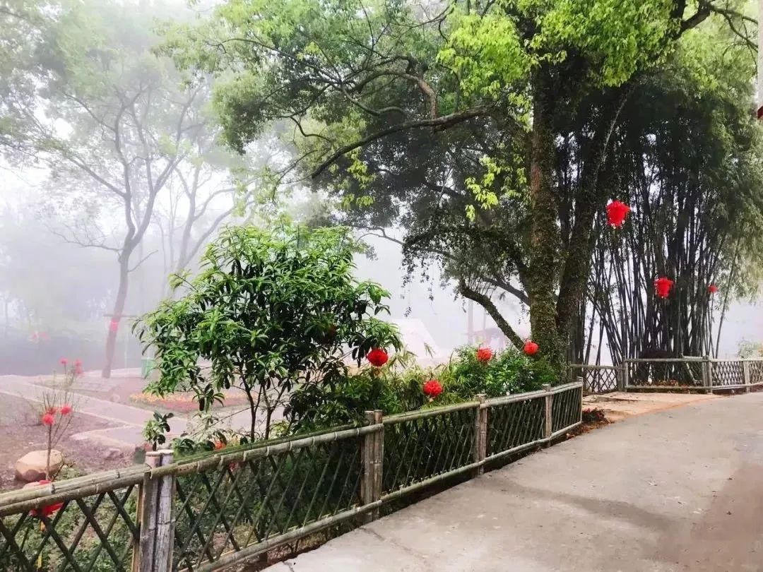  p>油石乡,隶属江西省赣州市 a target="_blank" href="/item/上犹县