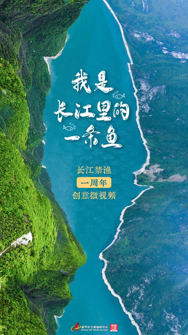  p>我是长江里的一条鱼,是长江禁渔一周年的创意微视频. /p>