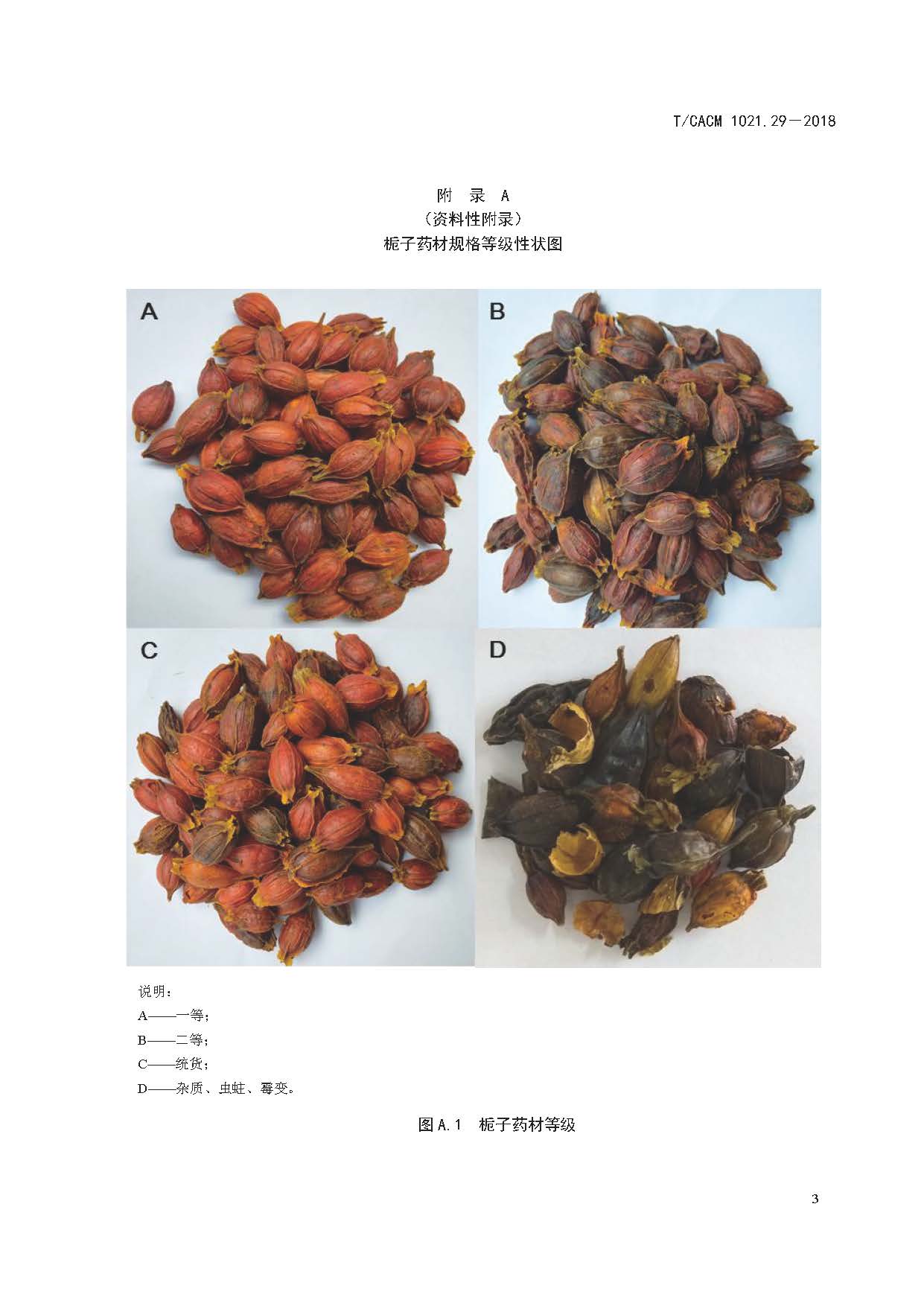  p>《中药材商品规格等级—栀子》(t/cacm 1021.