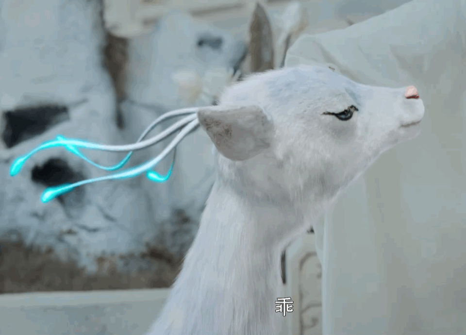 润玉