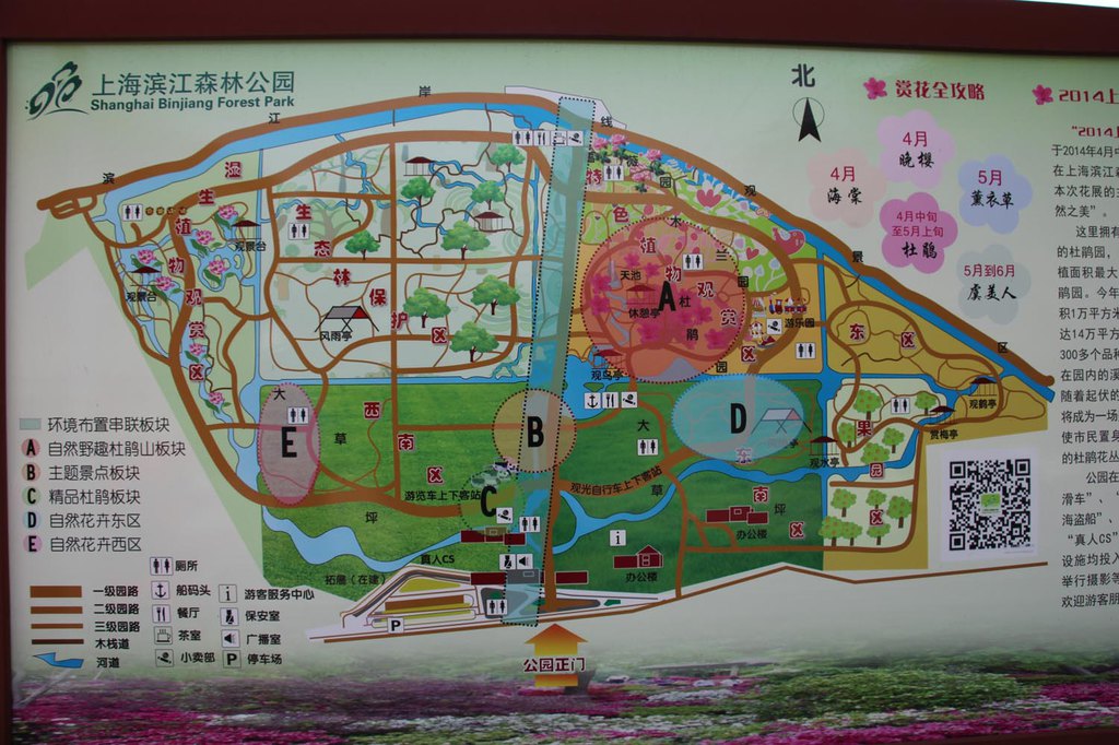  p data-id="gnyth3vdk4">上海滨江森林公园(shanghai binjiang