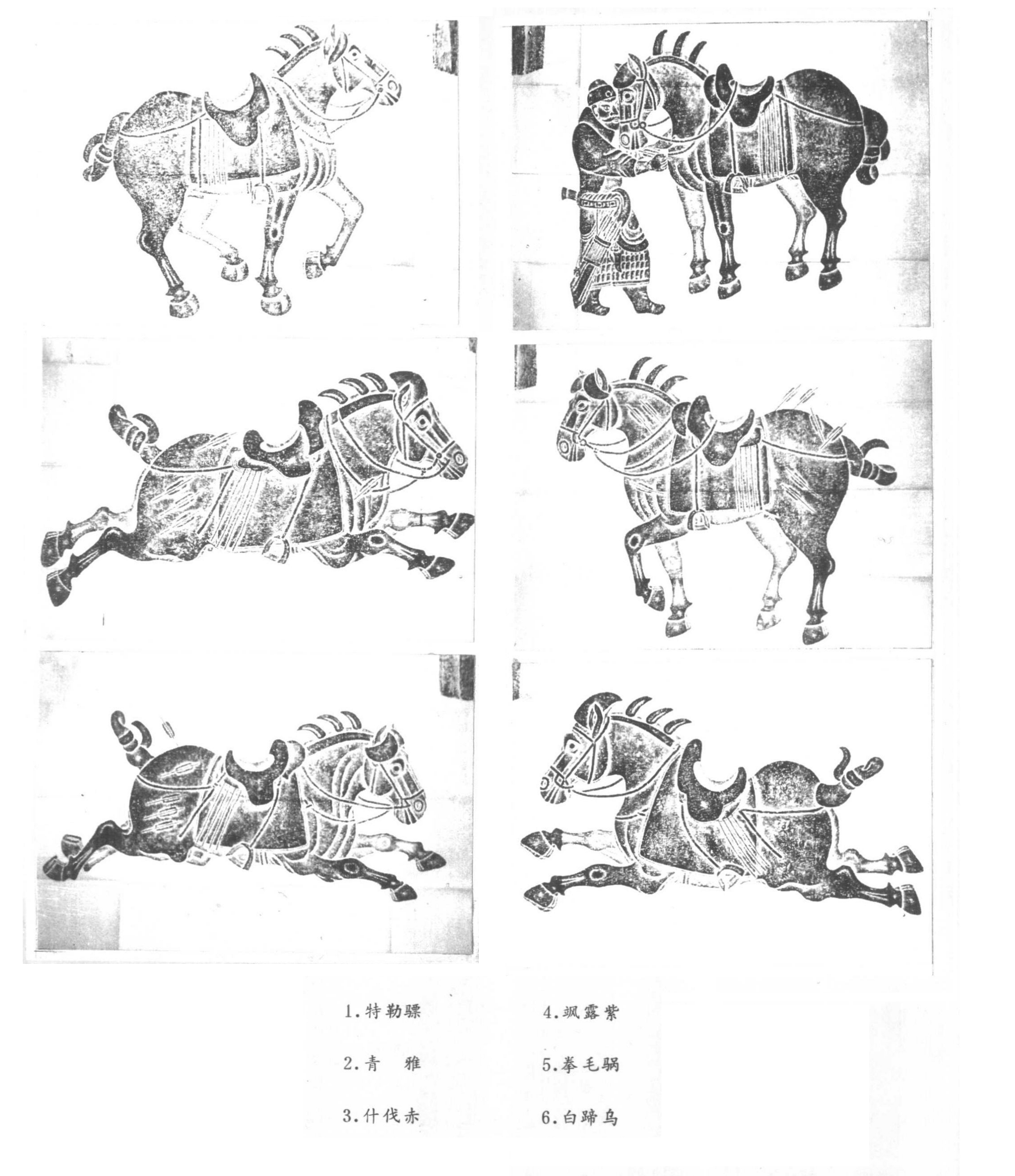 唐昭陵六骏石刻