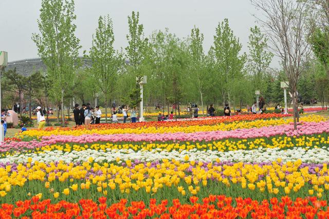 郑州绿博园问花节