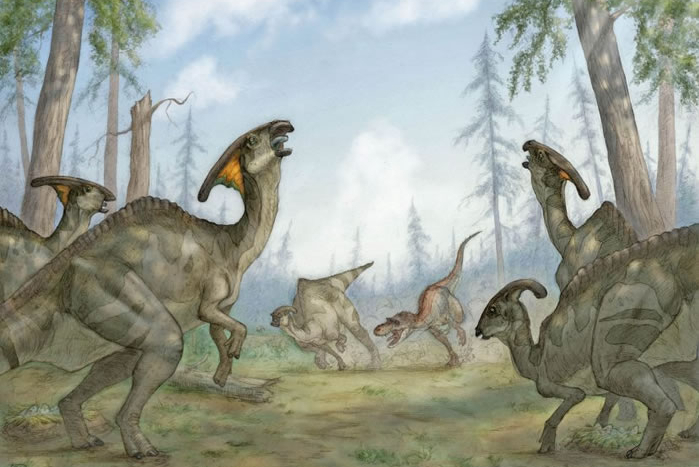  p>含义( meaning)→ pekin 1>北京鸭一种中国种的大白鸭,在