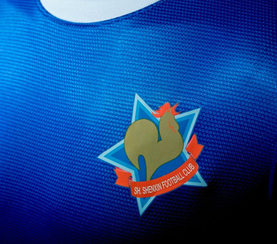  p>上海申鑫足球俱乐部(shanghai shenxin f.c.