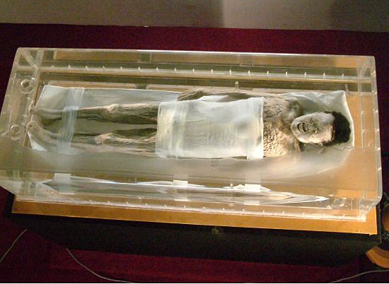  p data-id="gnx1ooyrjc">马王堆汉墓古尸是指1972年 a target="