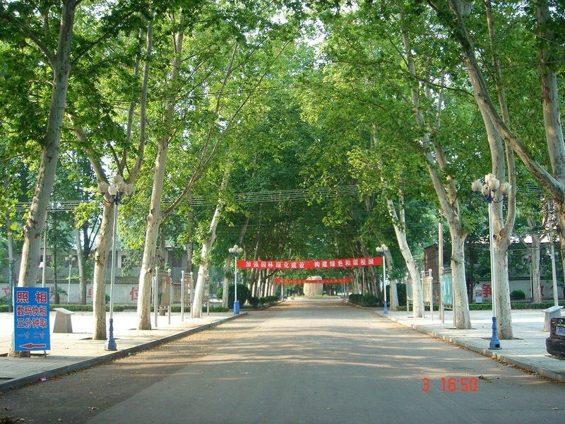  p data-id="2310456">河南省叶县高级中学,简称叶县高中,创办于1956