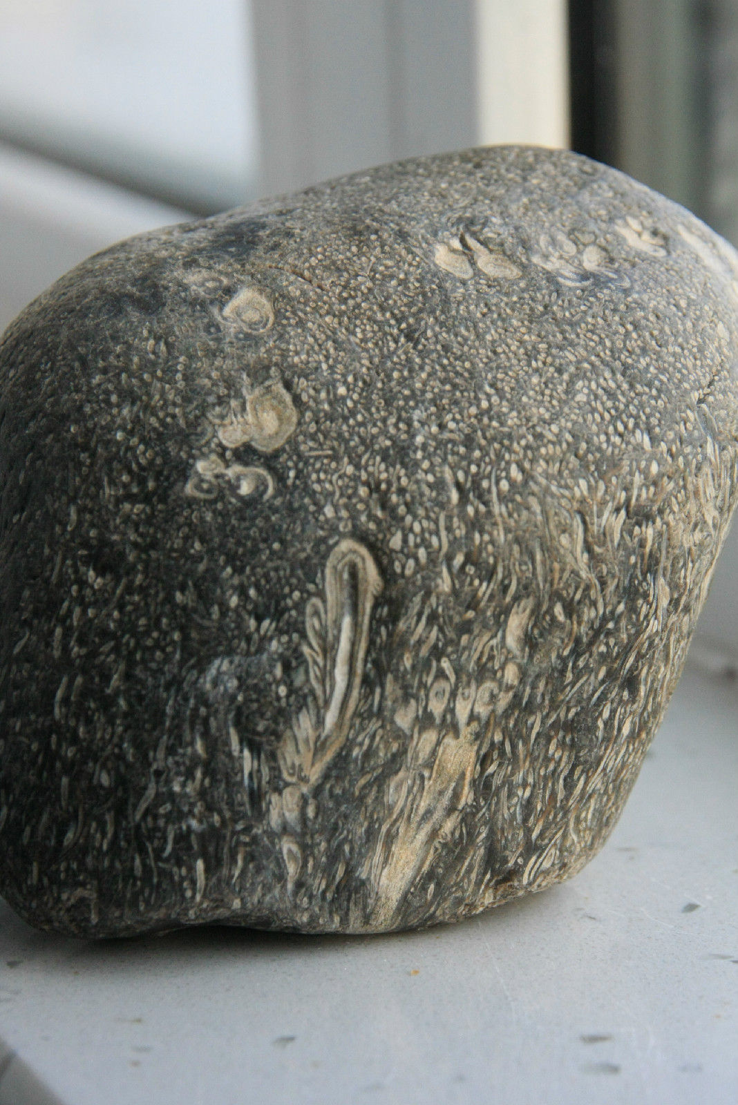  p data-id="gnvjqoylrs">2010年以来,在黑龙江省伊春,黑河等地区