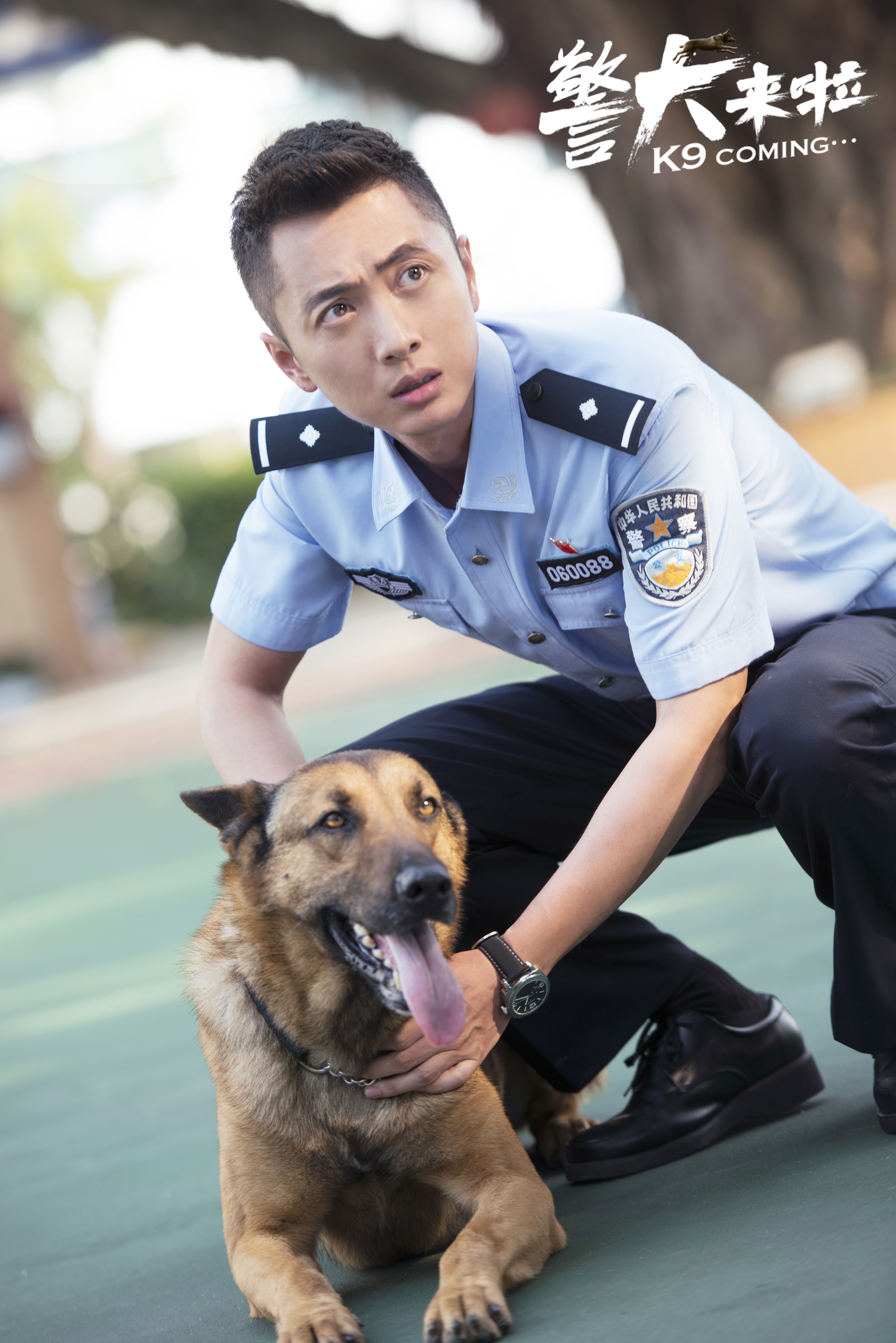 警犬来啦