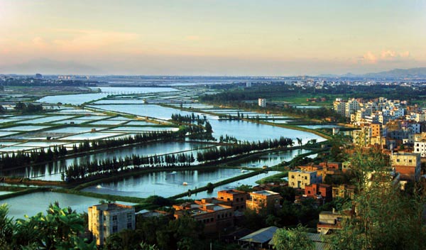  p>石鼓镇 a target="_blank" href="/item/隶属">隶属 /a>于 a