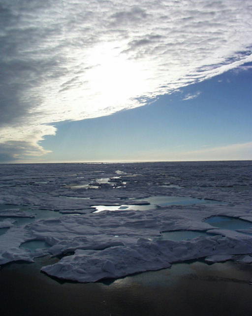 sea ice