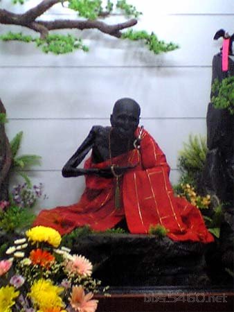 妙智法师一生修持药师法门,以116岁高寿 a href="#" data-lemmaid="