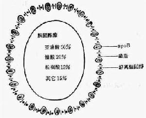  p>脂蛋白(lipoprotein)是一类由富含固醇脂, a href="#" data-lemma