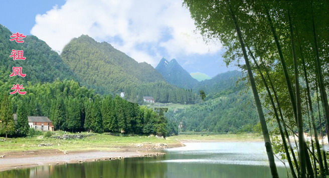  p>黄梅县苦竹乡位于 a href="#" data-lemmaid="709010">大别山 /a>